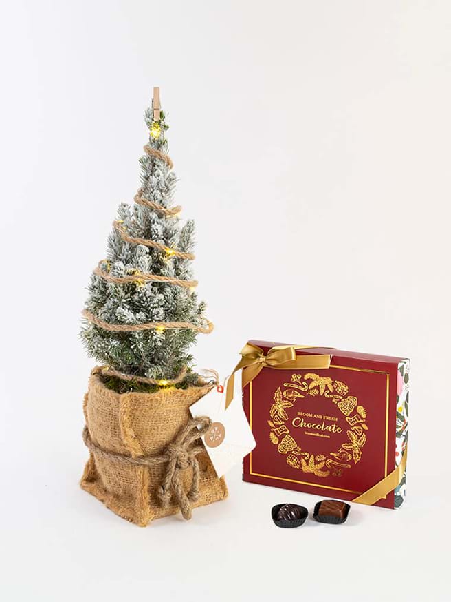 Yeni Yıl Ağacı & B&F Chocolate Bundle